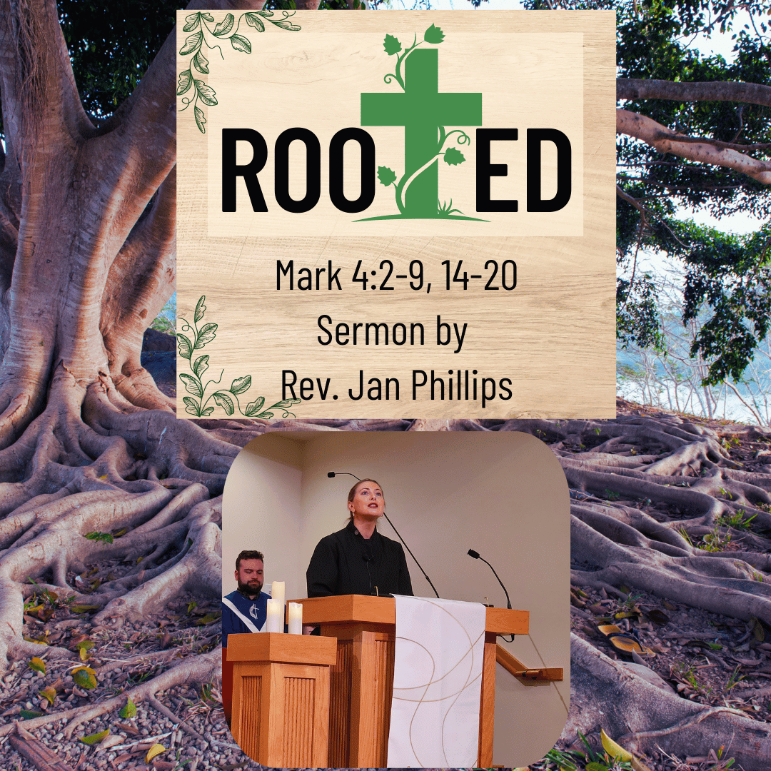 Rooted Sermon | Rev. Jan Phillips